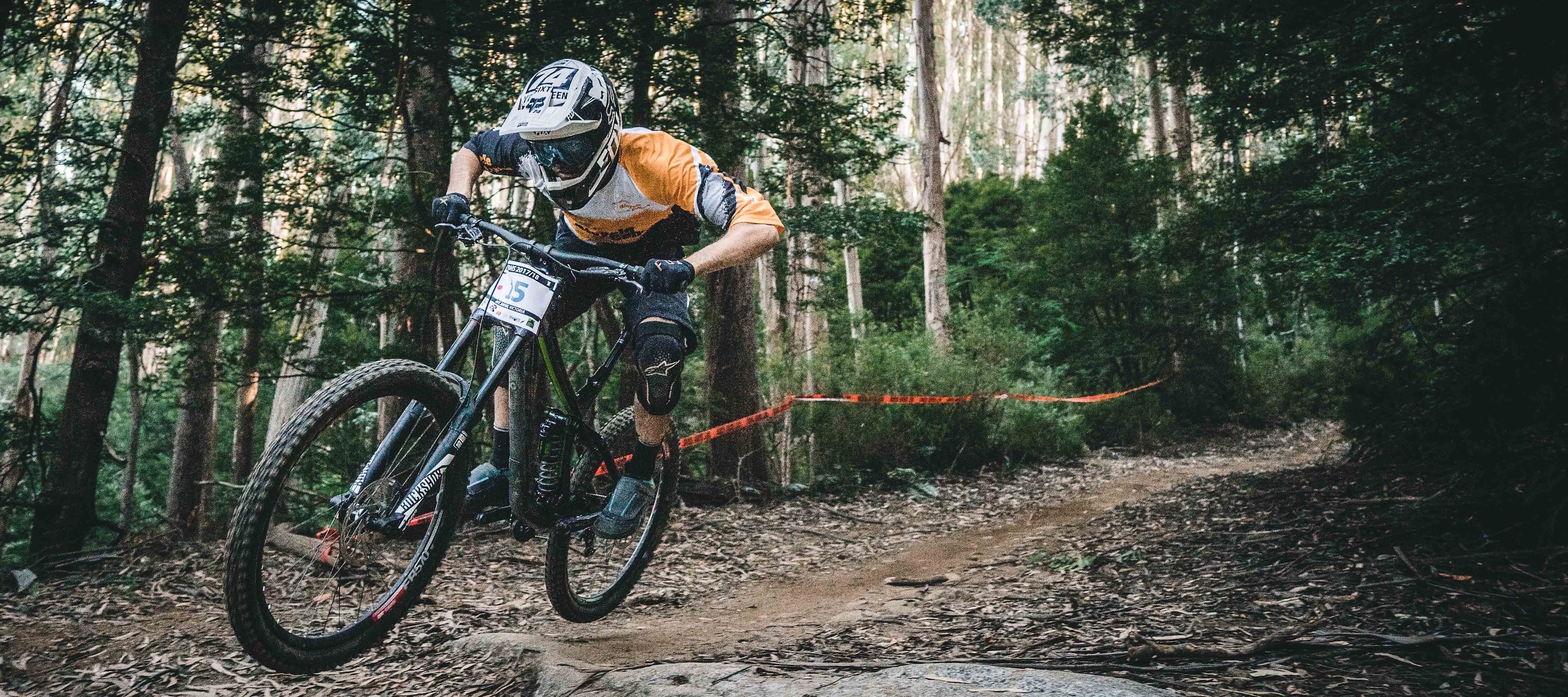 The Montain biker