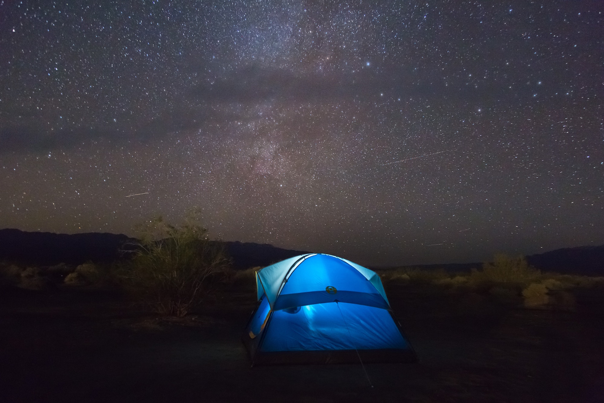 The Star Gazer