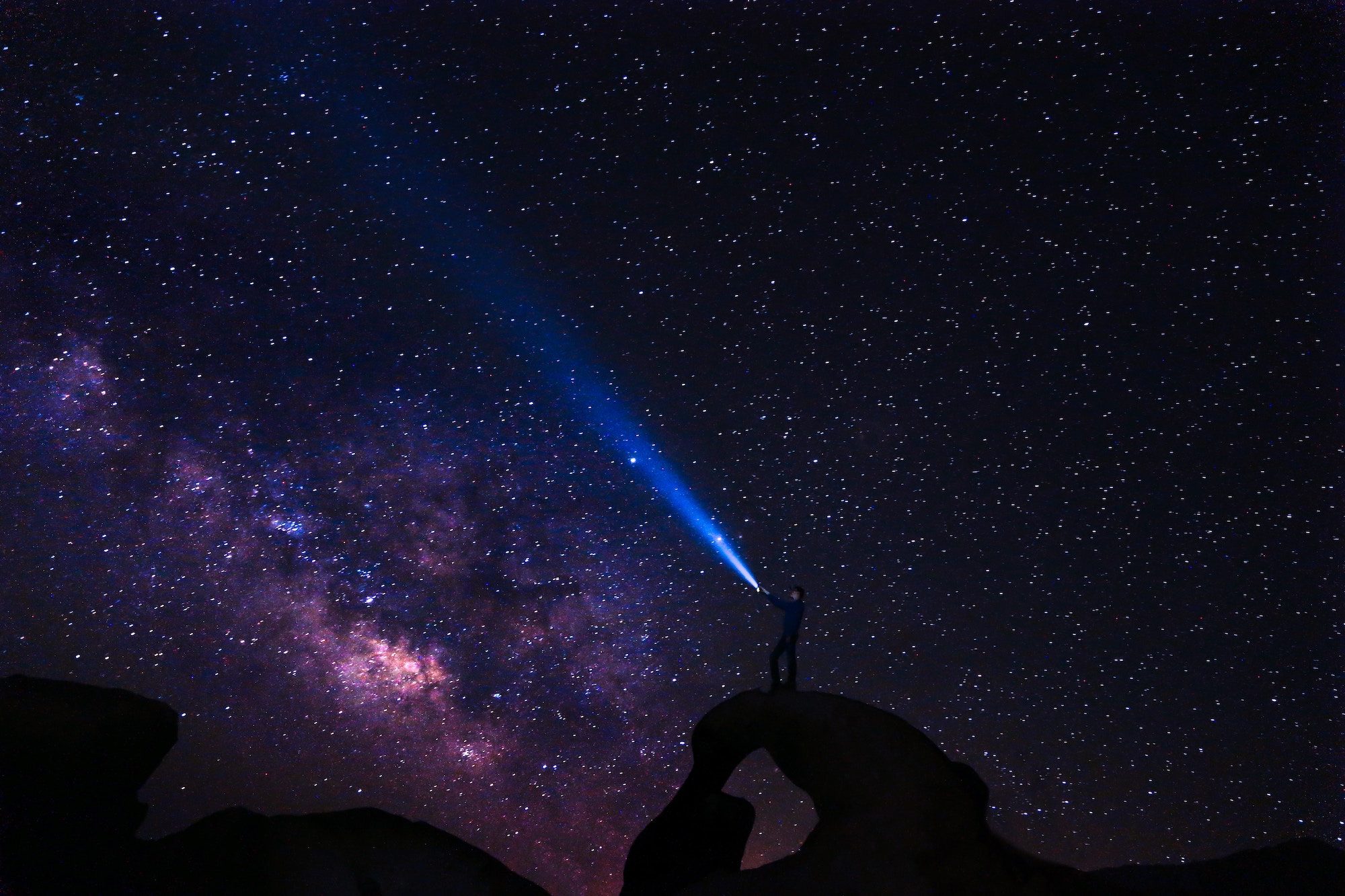 The Star Gazer